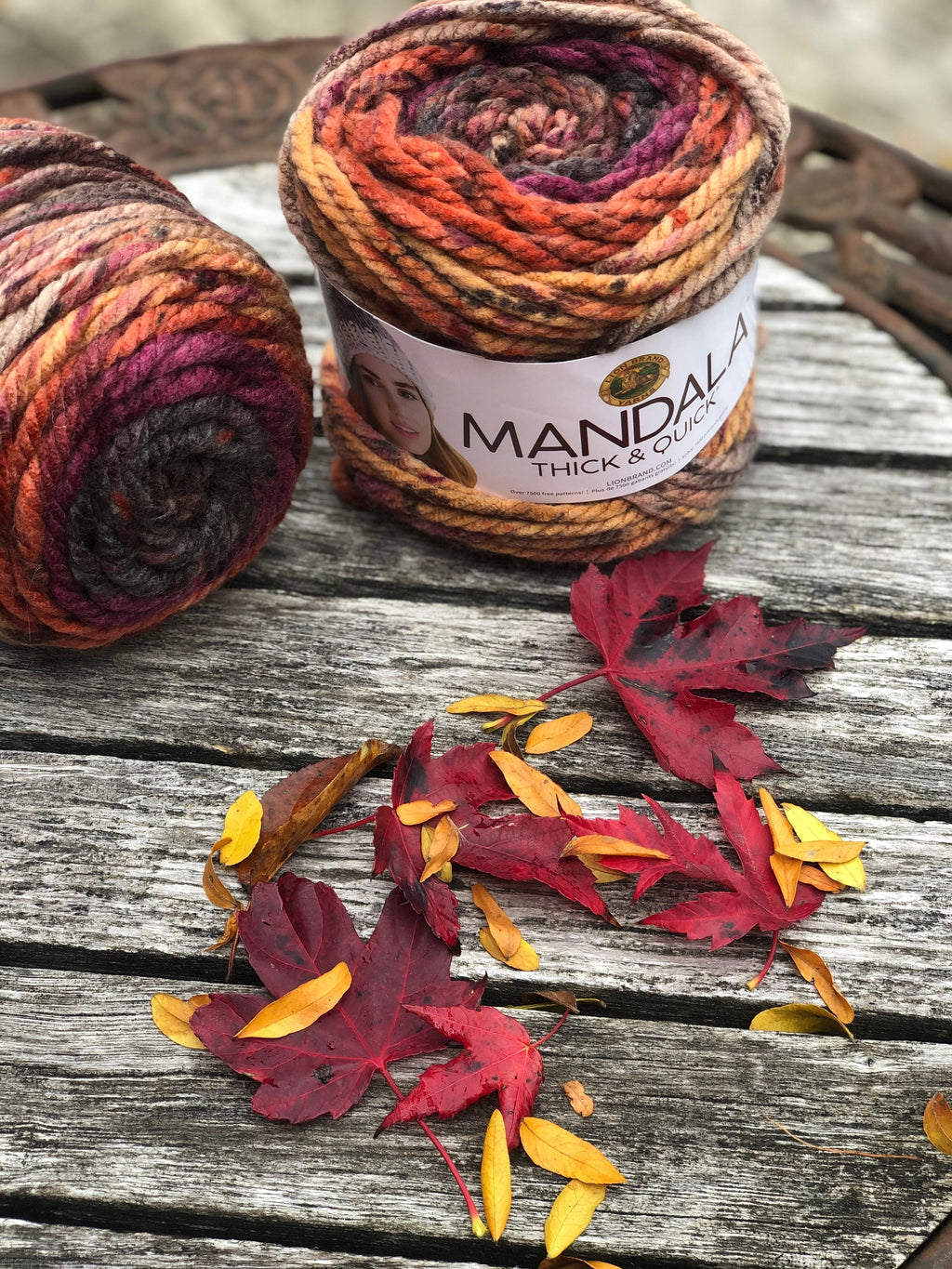 Autumn Dreams Beanie, Earth tone winter hat, Chunky Yarn Beanie, Warm Winter Hat, Fall Inspired Beanie, Gift for Her